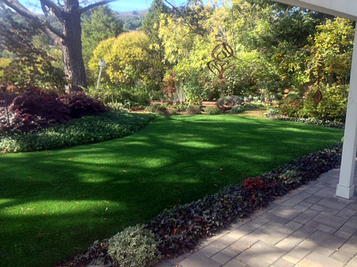 Fake Grass Galt, California Landscape Ideas, Backyard