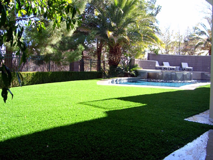 Fake Grass Ione, California Landscape Design, Backyards
