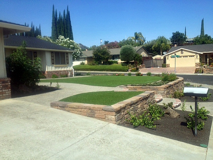 Fake Grass Orangevale, California Garden Ideas, Front Yard Ideas
