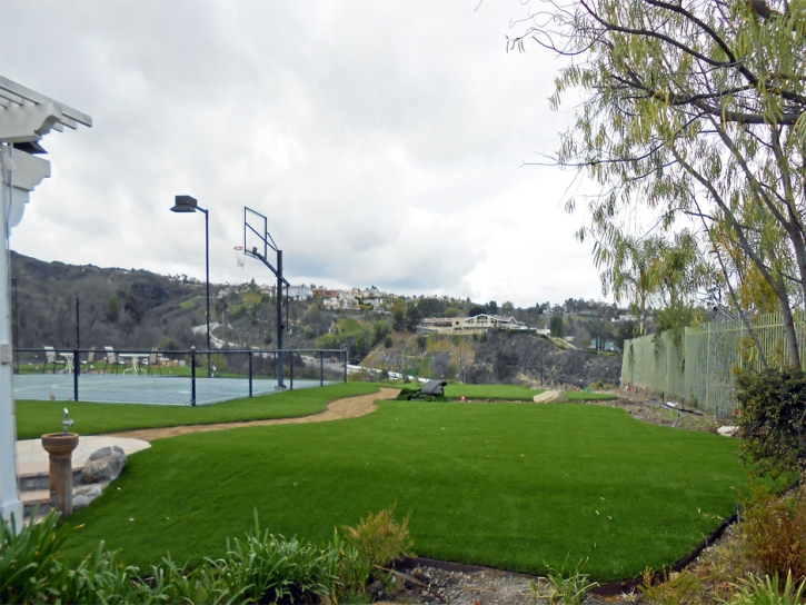 Fake Grass Soulsbyville, California Sports Athority, Commercial Landscape