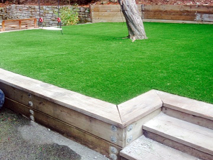 Fake Grass Valley Ford, California Landscape Ideas, Backyard Ideas