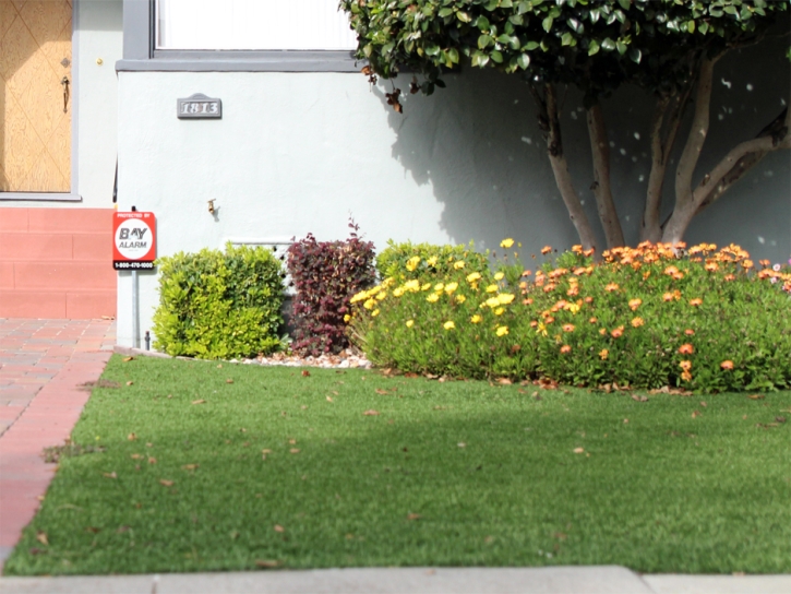 Fake Lawn Bay Point, California Garden Ideas, Front Yard Landscape Ideas