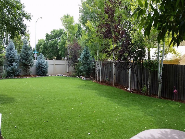 Fake Lawn Diablo, California Lawn And Garden, Backyard Design