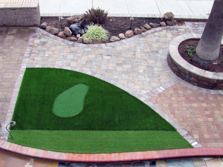 Fake Lawn Elmira, California Backyard Playground, Front Yard Design