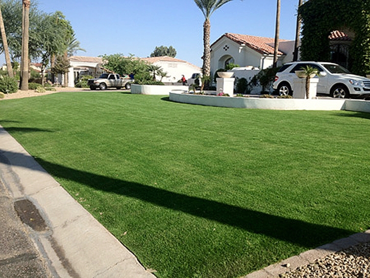 Fake Lawn Pioneer, California Landscape Ideas, Front Yard Ideas