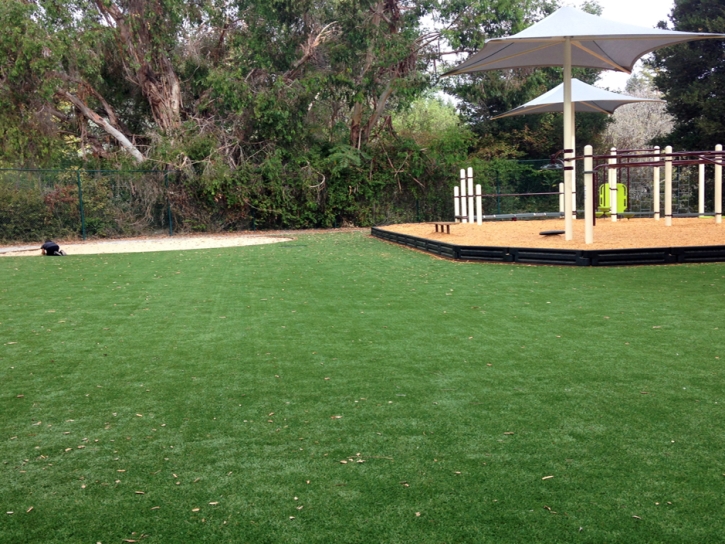 Fake Lawn San Geronimo, California Playground Turf