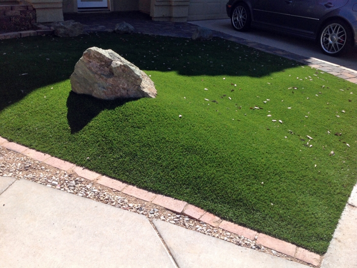 Fake Lawn Seven Trees, California Design Ideas