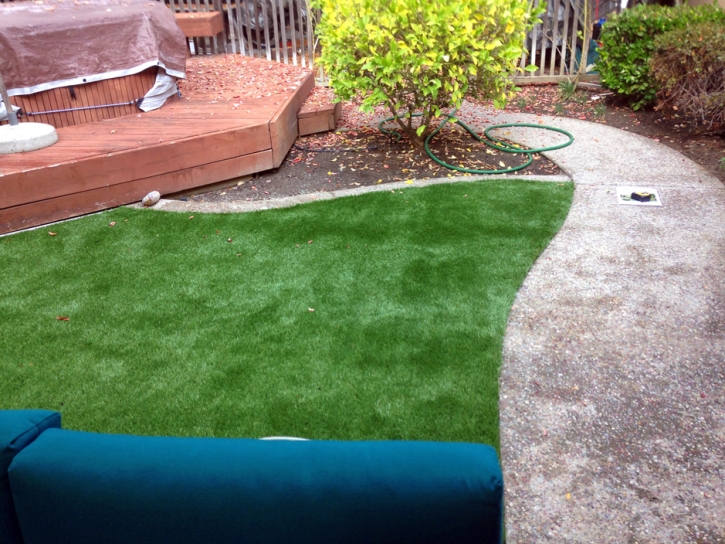 Fake Turf Bay Point, California Lawn And Landscape, Backyard Landscape Ideas