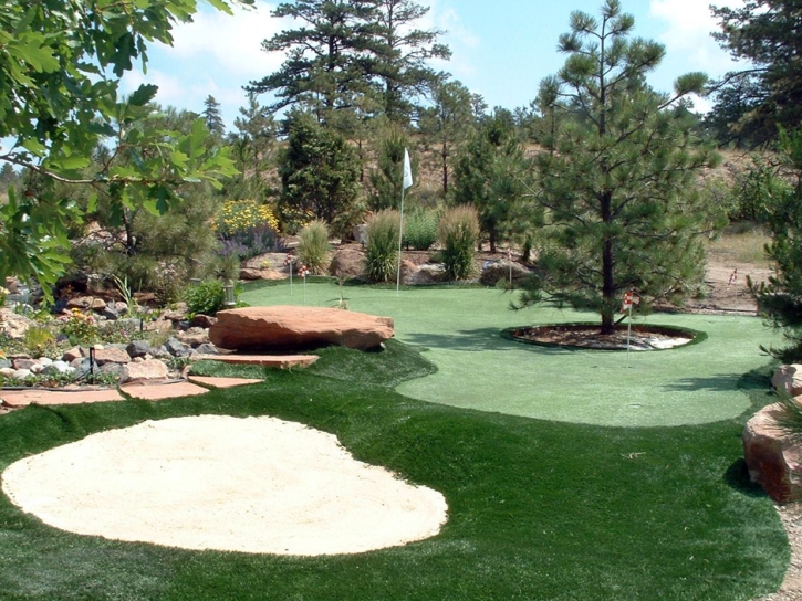 Fake Turf Blackhawk, California Garden Ideas, Backyard Landscape Ideas