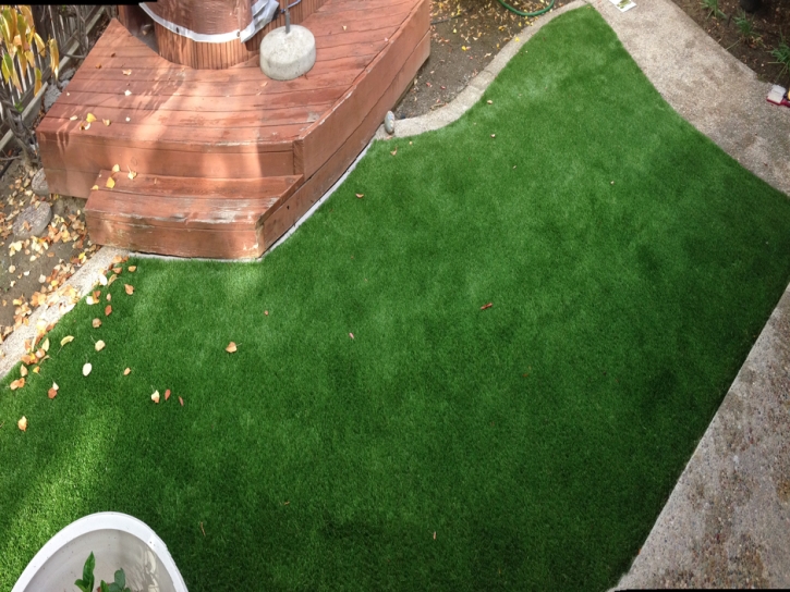 Fake Turf Byron, California Landscape Ideas, Backyard Landscaping Ideas