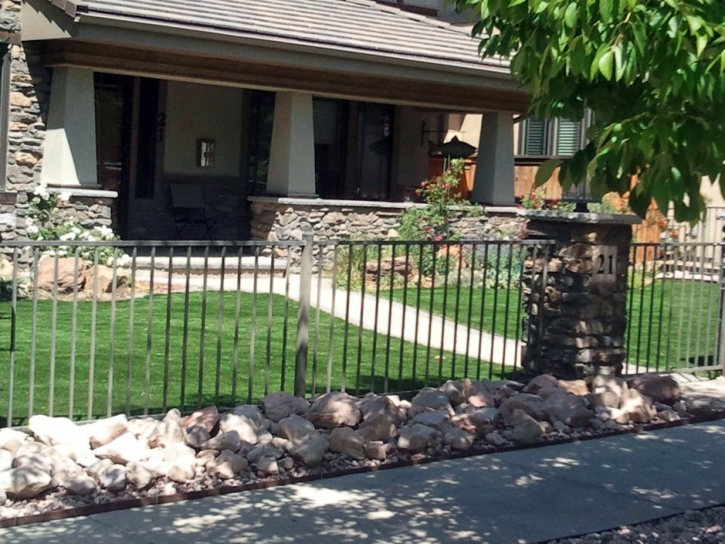 Fake Turf Carmichael, California Landscape Design, Front Yard Landscaping