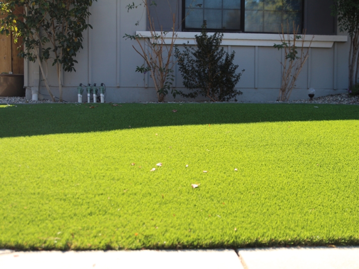 Fake Turf Cherryland, California Lawn And Landscape, Front Yard Design