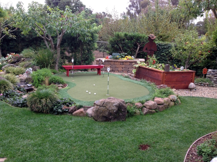 Fake Turf Davis, California Home And Garden, Backyard Makeover