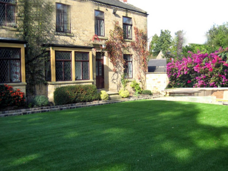 Fake Turf Lake of the Pines, California Landscaping, Front Yard Landscaping Ideas