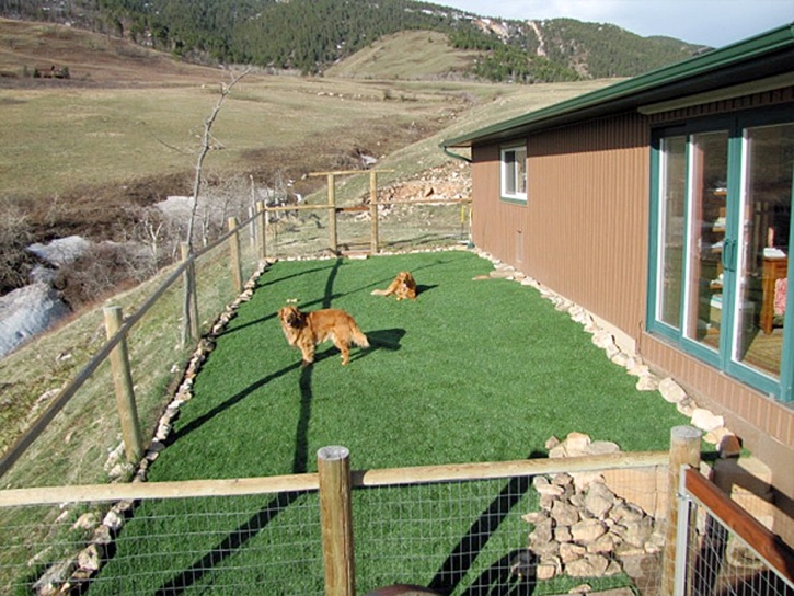 Fake Turf Lockeford, California Lawns, Dog Kennels