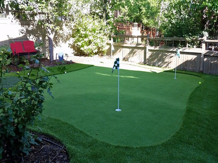 Fake Turf Maxwell, California Best Indoor Putting Green, Backyard Landscaping
