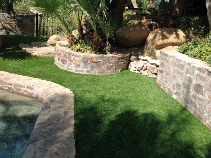 Fake Turf Nord, California Landscape Ideas, Backyard Landscaping