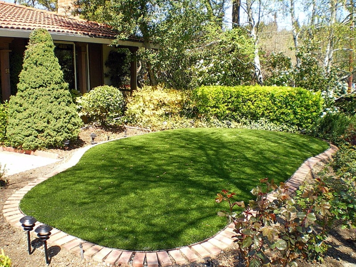 Fake Turf Saint Helena, California City Landscape, Backyards