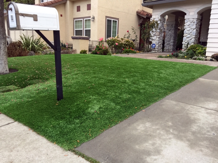 Faux Grass Discovery Bay, California Lawn And Landscape, Landscaping Ideas For Front Yard
