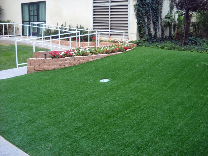 Faux Grass Guinda, California Putting Greens, Front Yard Ideas