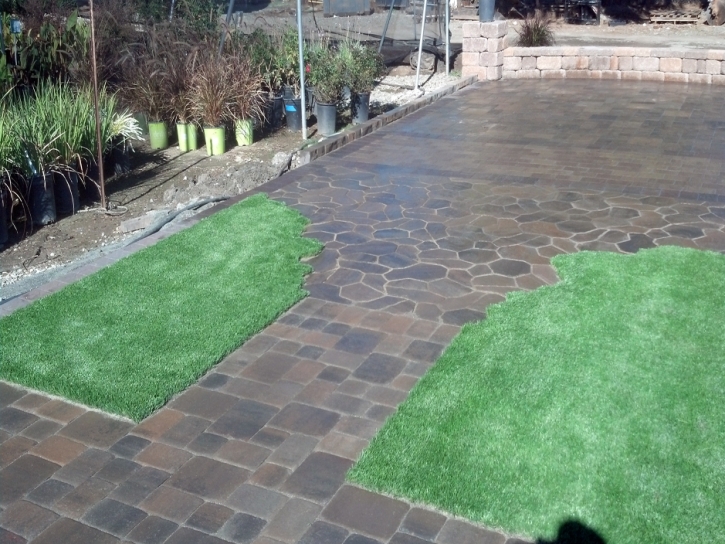 Faux Grass Rodeo, California Home And Garden, Backyards