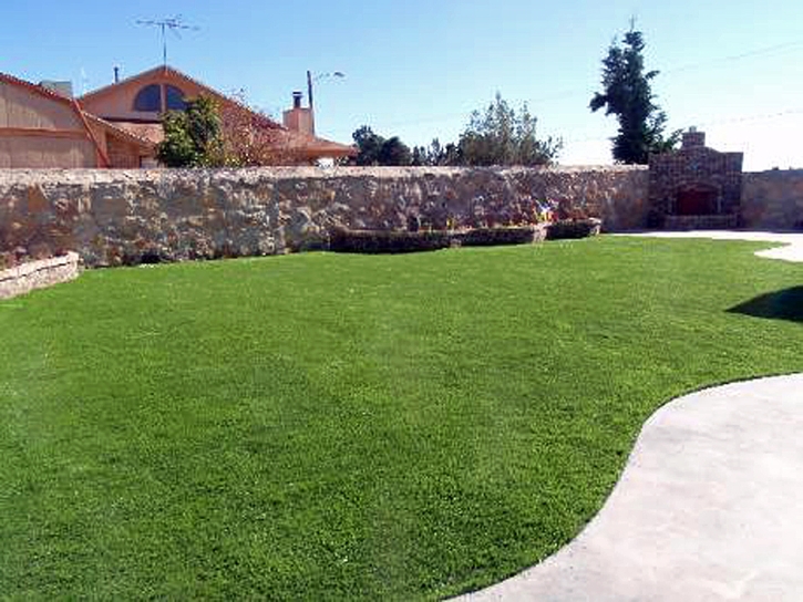 Faux Grass Volcano, California Gardeners, Backyard Landscaping Ideas