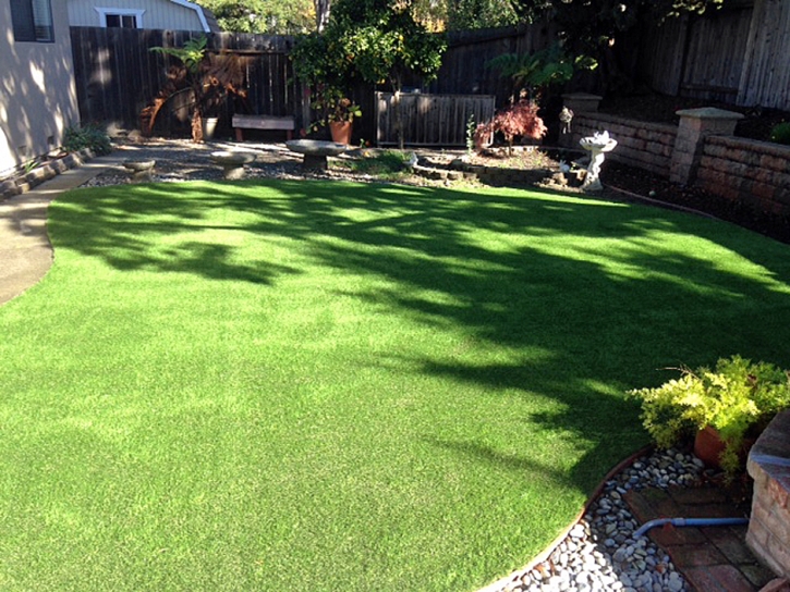 Grass Carpet Berkeley, California Backyard Playground, Small Backyard Ideas