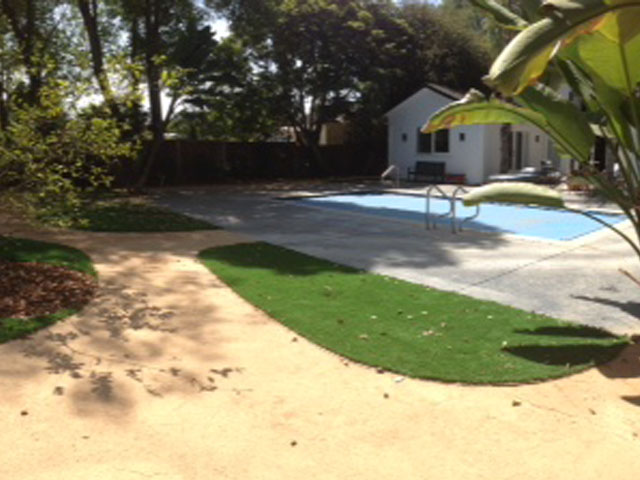 Grass Carpet Cedar Ridge, California Landscaping, Small Backyard Ideas