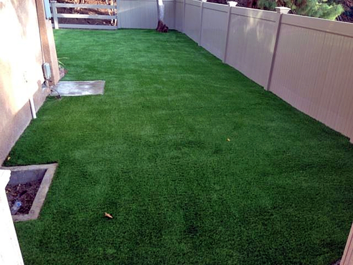 Grass Carpet Clyde, California Dog Run, Small Backyard Ideas