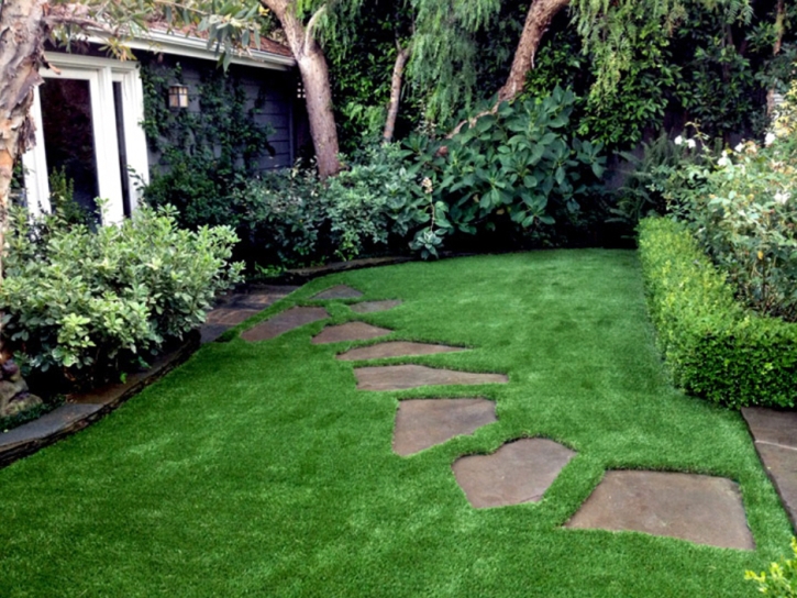 Grass Carpet Fairfield, California Design Ideas, Backyard Ideas