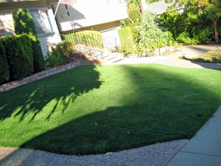 Grass Carpet Greeley Hill, California Lawn And Garden, Front Yard Design