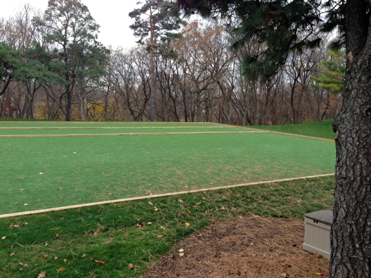 Grass Carpet Madison, California Landscape Photos