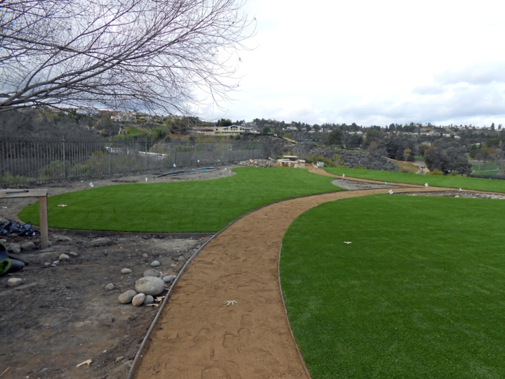 Grass Carpet Pleasanton, California High School Sports