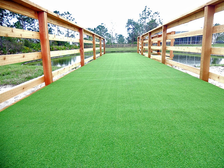 Grass Carpet Portola Valley, California Dog Grass, Commercial Landscape