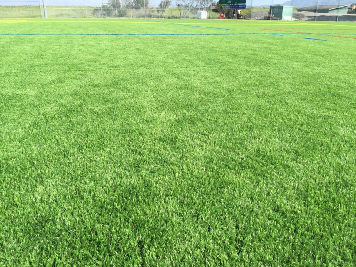 Grass Carpet Rohnert Park, California Red Turf