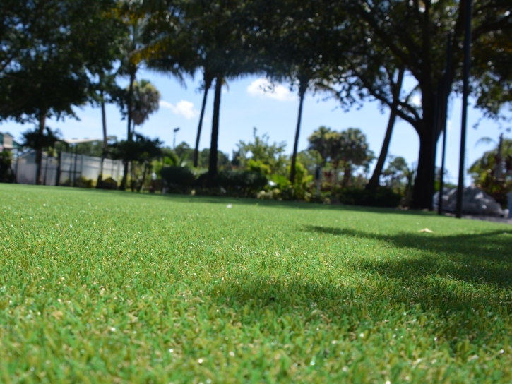 Grass Carpet Ross, California Landscape Ideas, Recreational Areas