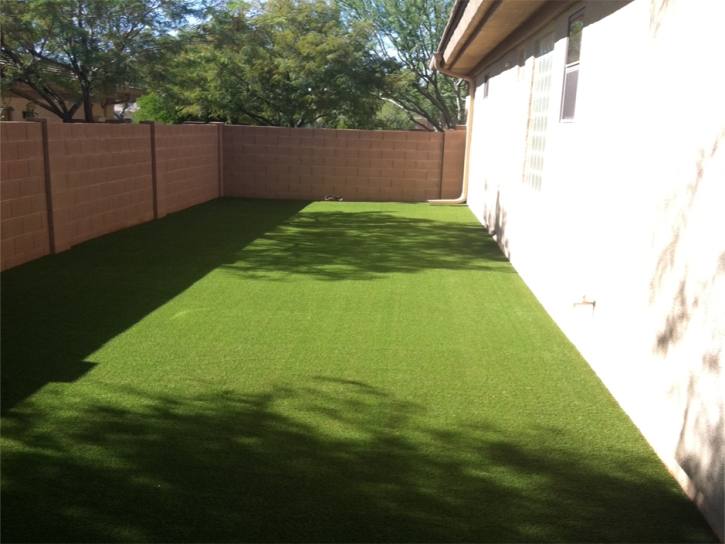 Grass Carpet Snelling, California Lawn And Landscape, Small Backyard Ideas