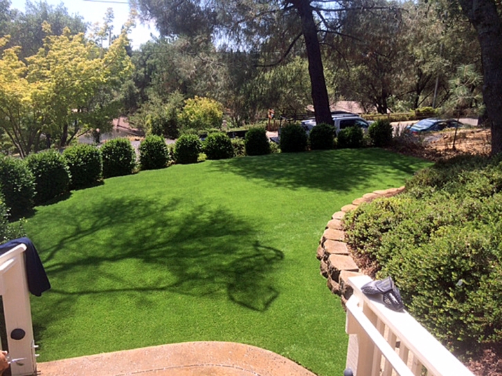 Grass Carpet Walnut Grove, California Landscape Design, Beautiful Backyards