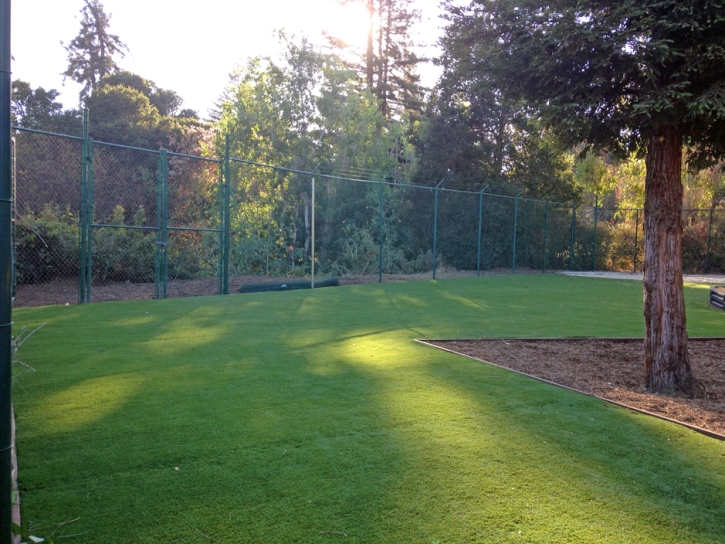 Grass Carpet Yuba City, California Landscape Photos, Parks