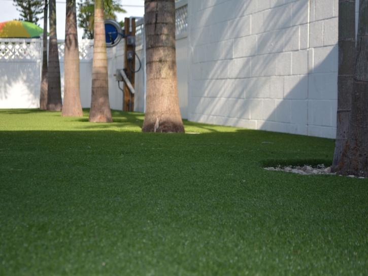 Grass Installation Bystrom, California Backyard Deck Ideas, Commercial Landscape