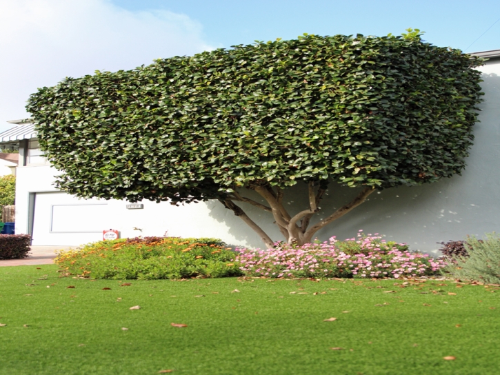 Grass Installation Dutch Flat, California Garden Ideas, Front Yard Design