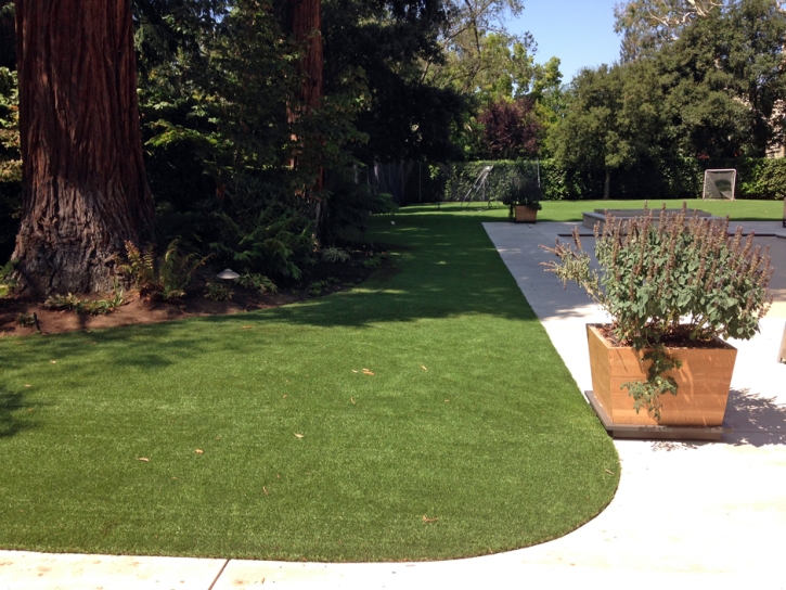 Grass Installation Mountain House, California Pet Turf, Front Yard Ideas