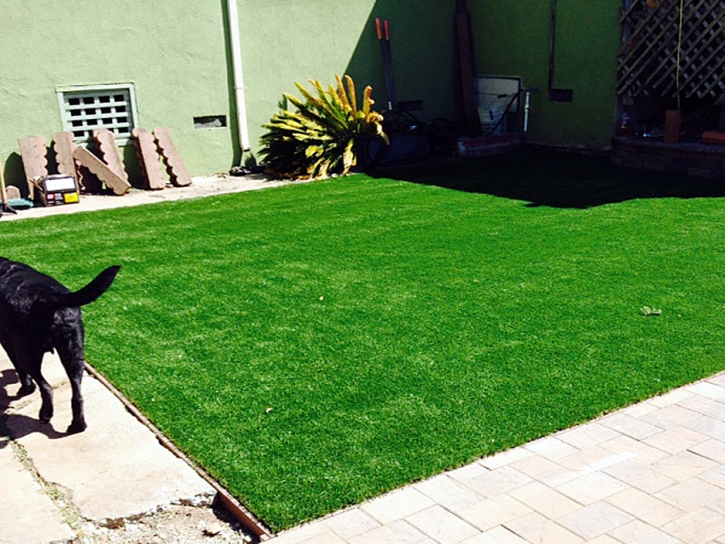 Grass Installation Point Reyes Station, California Backyard Playground, Backyards