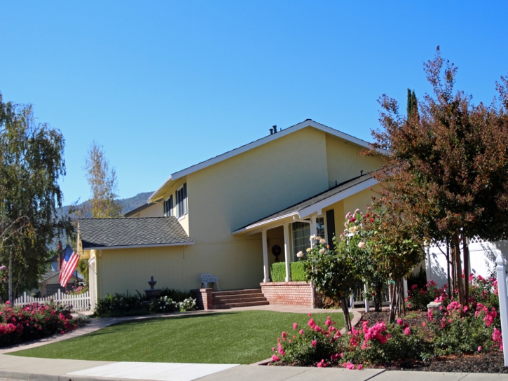 Grass Turf Antioch, California Lawns, Front Yard Ideas