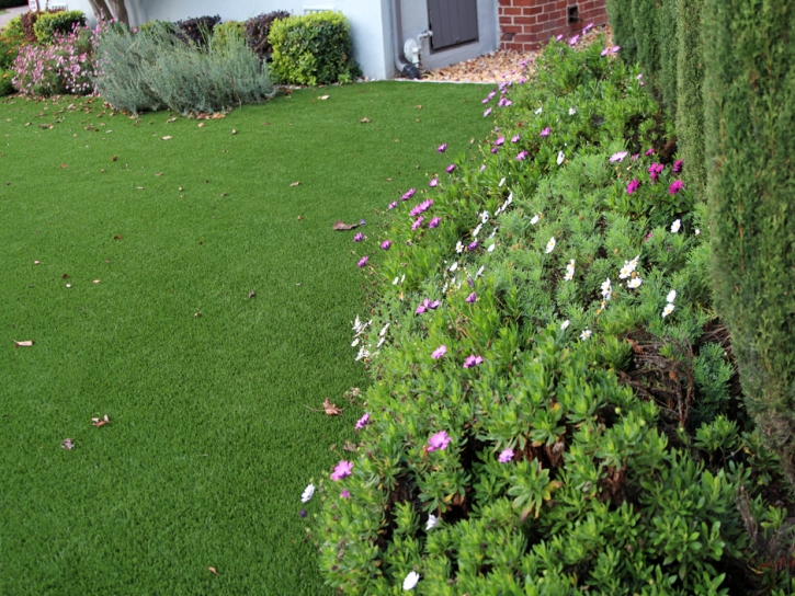 Grass Turf Deer Park, California Backyard Deck Ideas, Front Yard Design