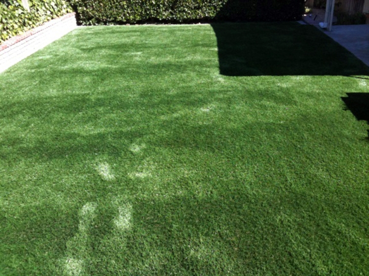 Grass Turf Elverta, California Lawn And Landscape, Backyard Ideas