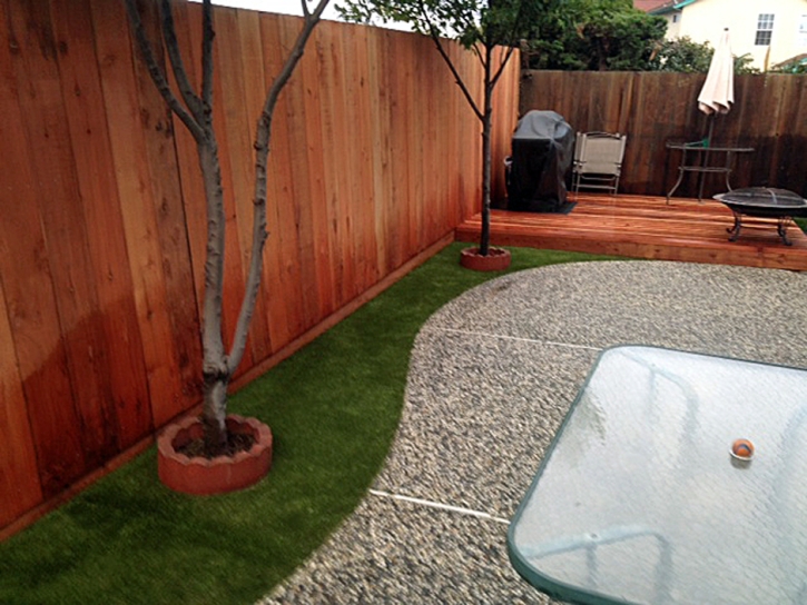 Grass Turf Kensington, California Landscape Ideas, Backyard Landscape Ideas