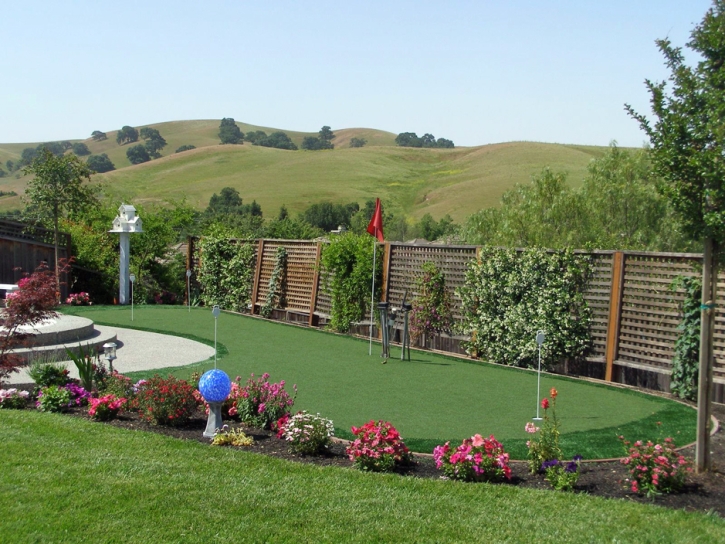 Grass Turf Mokelumne Hill, California Putting Green Grass, Beautiful Backyards