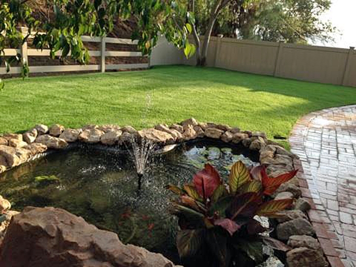Grass Turf Peters, California Landscape Rock, Backyard Landscaping