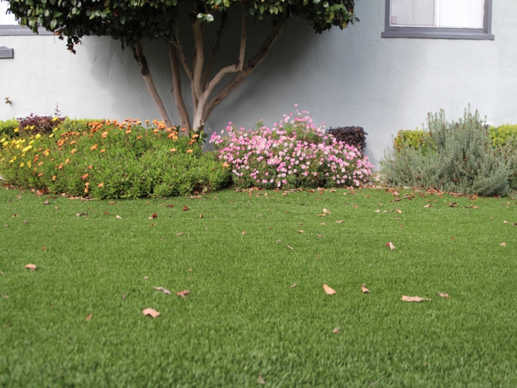 Grass Turf Pleasanton, California Home And Garden, Landscaping Ideas For Front Yard